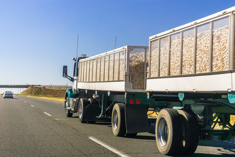 Onions on truck