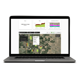 Untitled design (15)