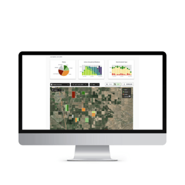 Untitled design (17)