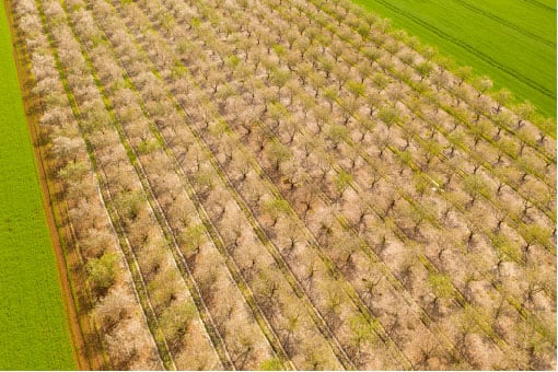 aerial spring orchard-email