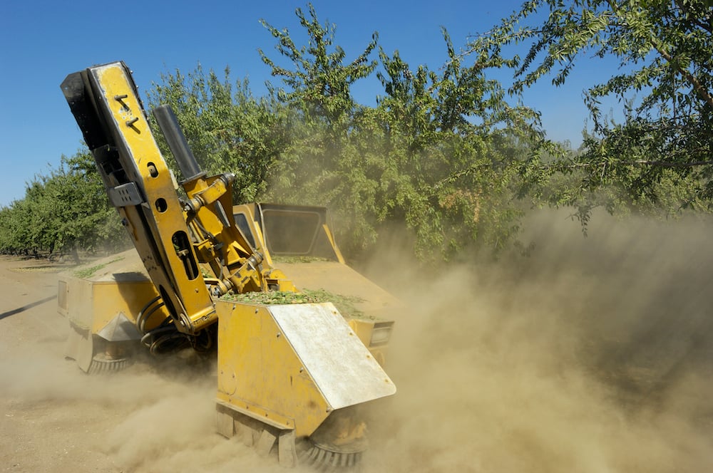 almond_harvest_dust