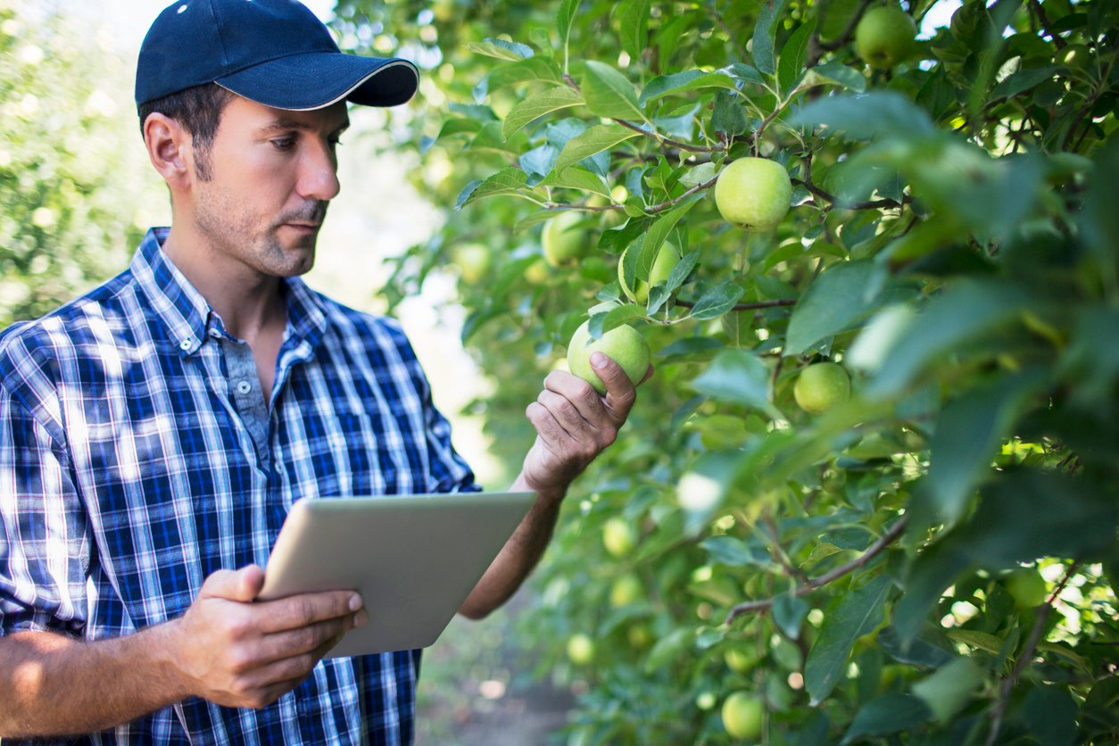 apple grower with iPad