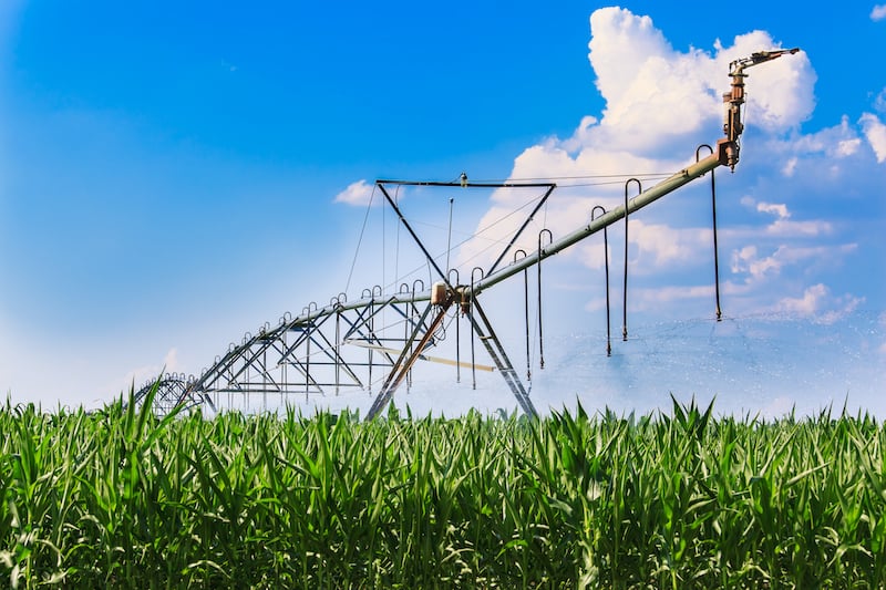 center pivot on corn