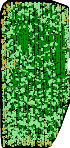 Plant stress in chlorophyll imagery