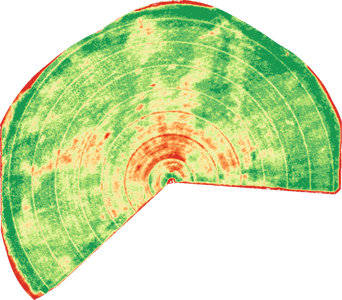 Nutrient deficiency in chlorophyll imagery