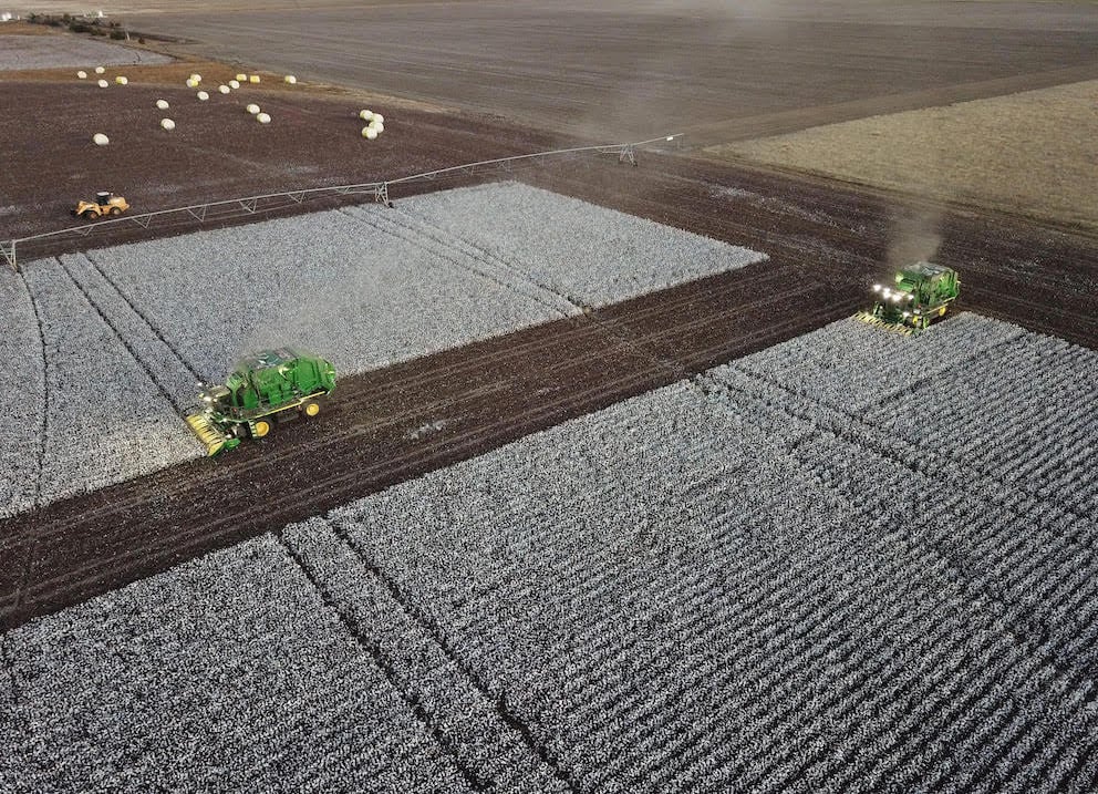 cotton_harvest