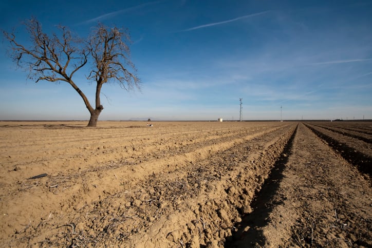 dry field