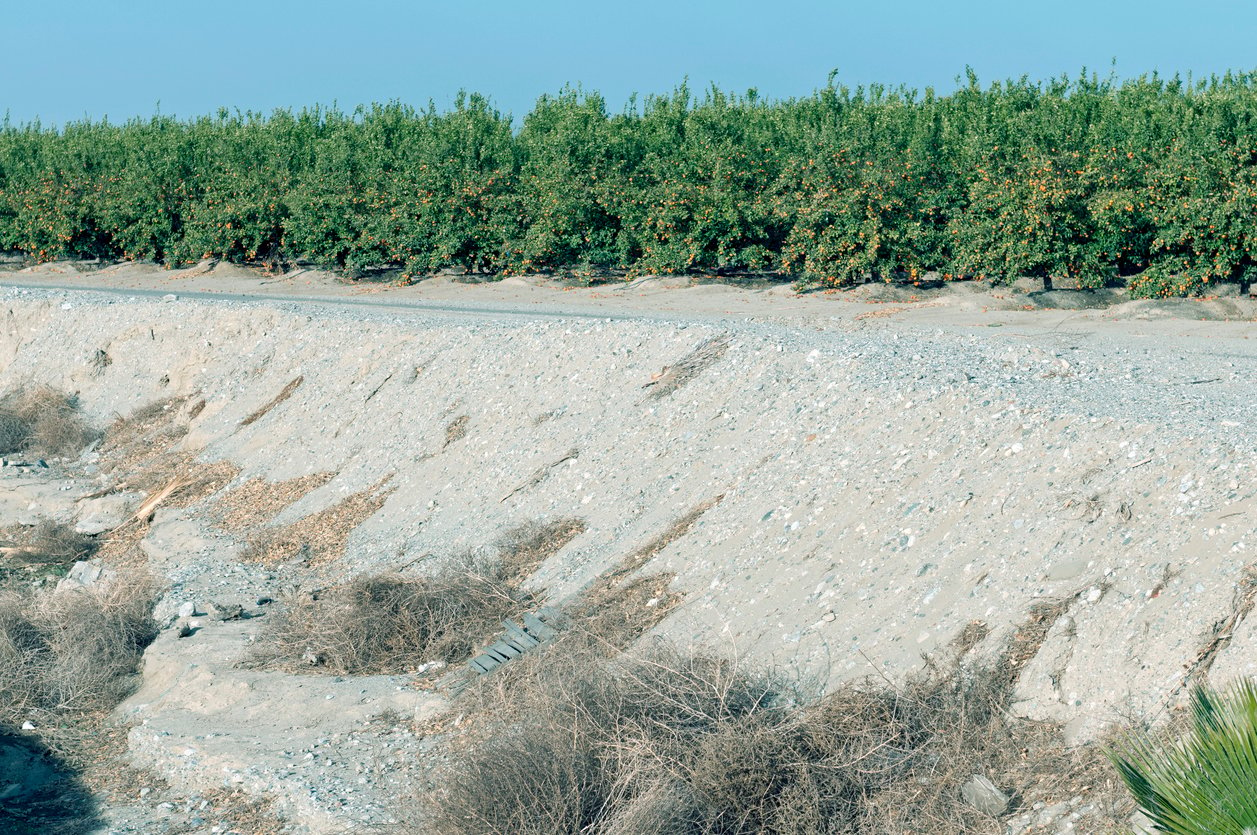 dry soil citrus orchard