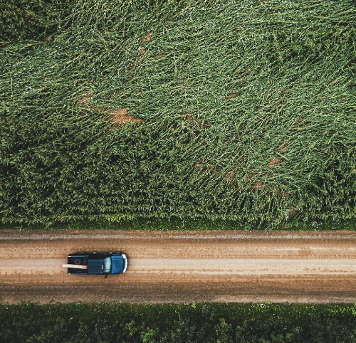 hail damage from road