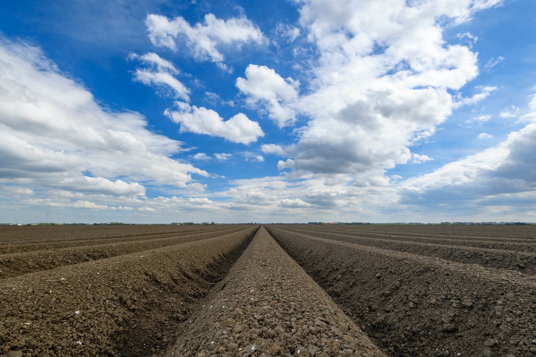 potato_plowed_field