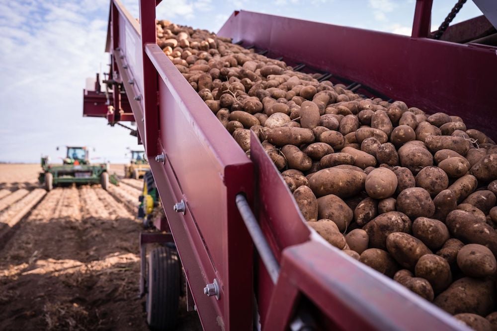 potatoes_Strohauer Farms