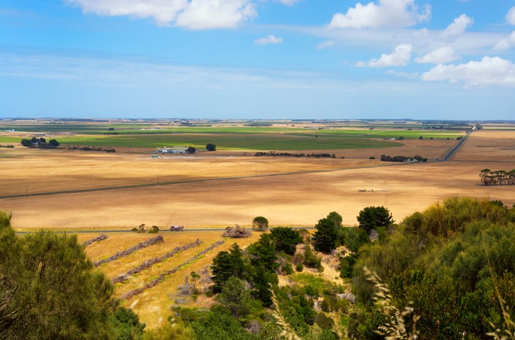 rural landscape South Australia