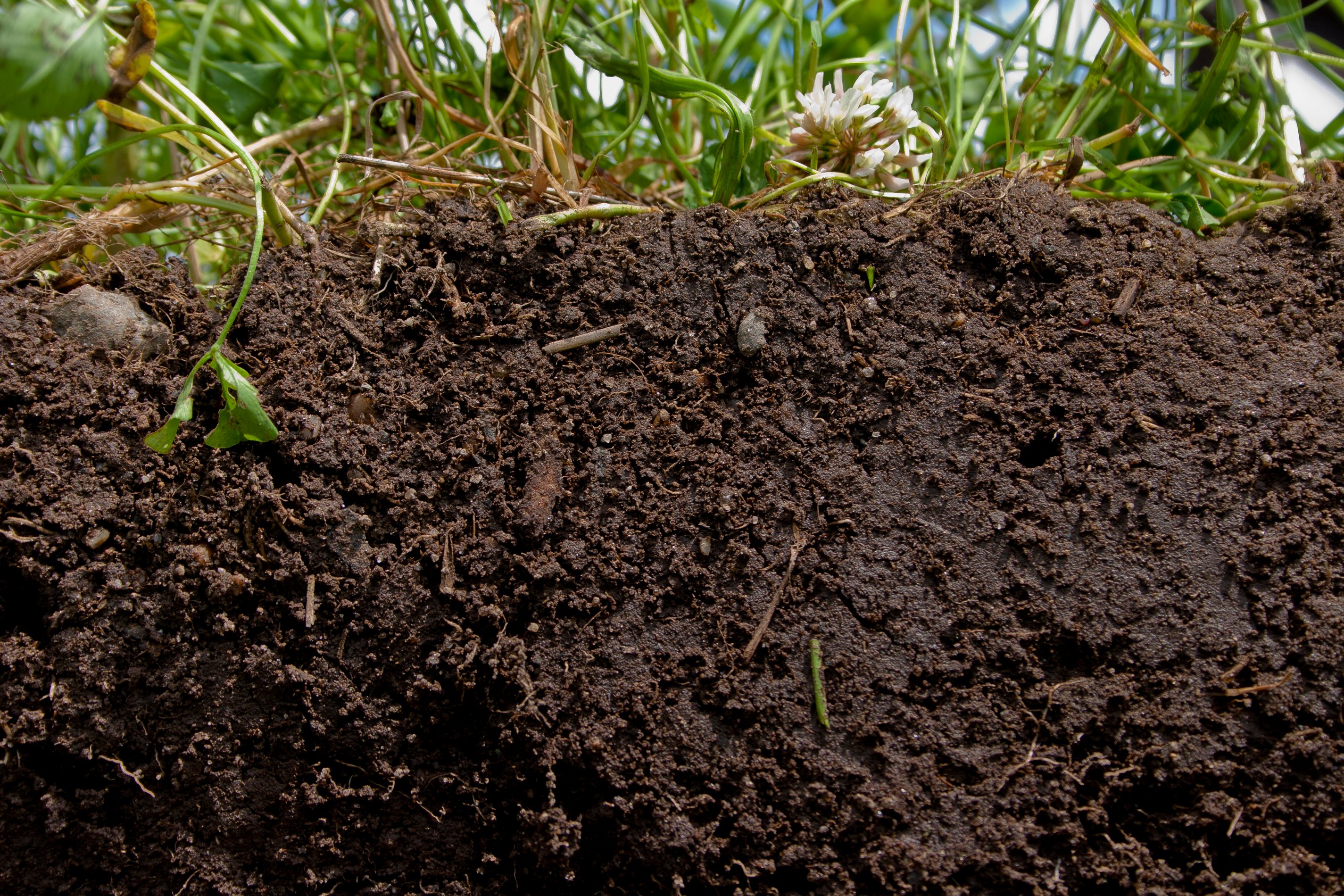 soil cross section