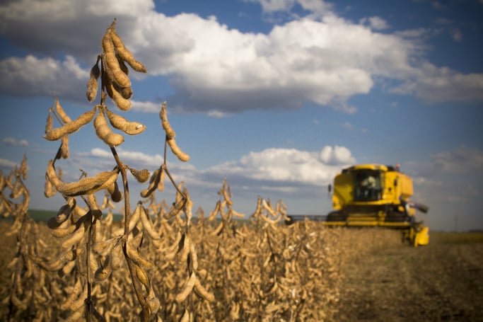 soybean_harvest