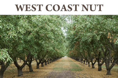 westcoastnut_transpiration