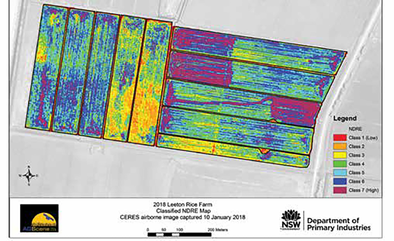 NDRE Image of a commercial rice field collected using Ceres Imaging aircraft based sensor at 0.5 m resolution.