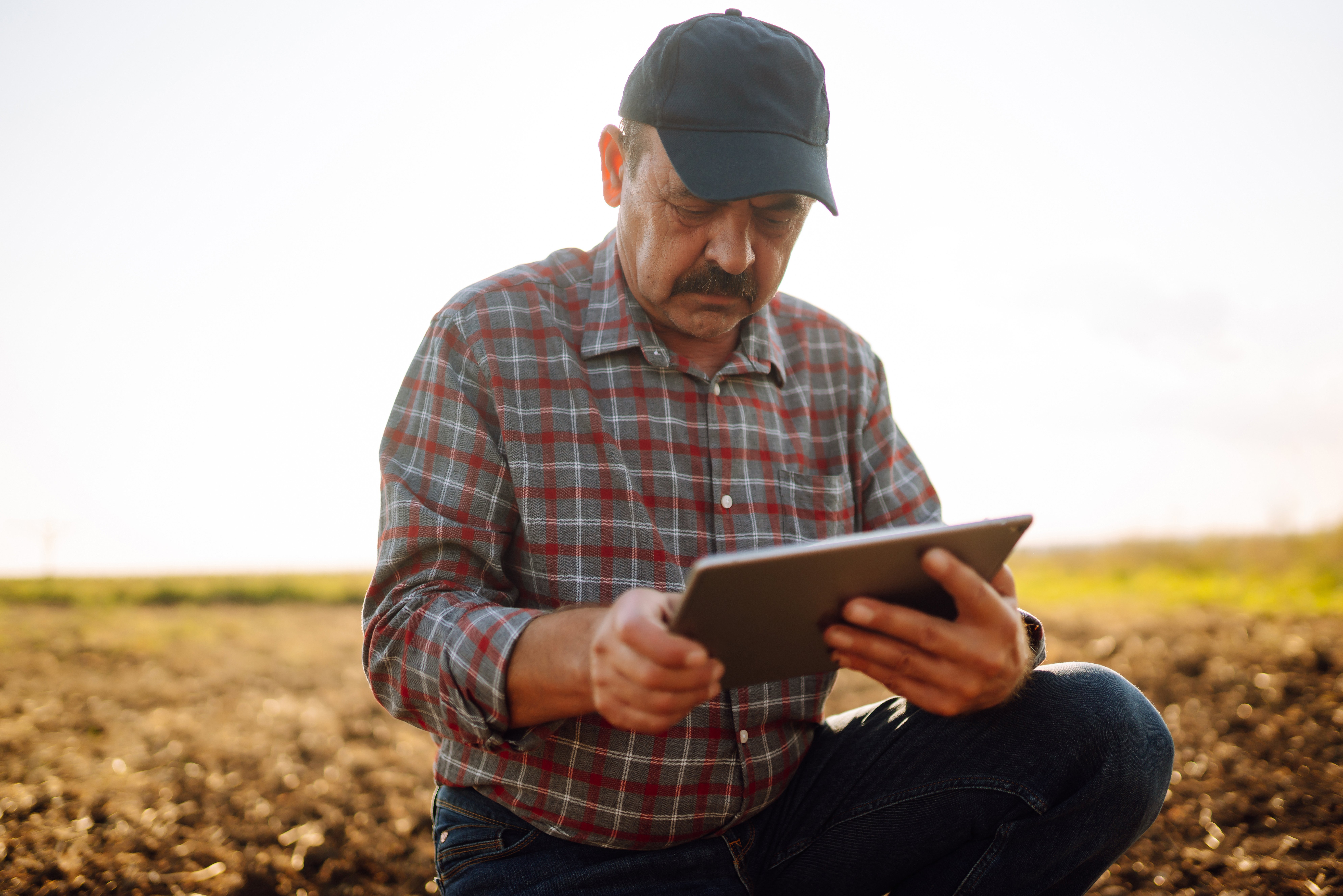 male-hands-touching-soil-on-the-field-expert-hand-2023-11-27-05-27-03-utc