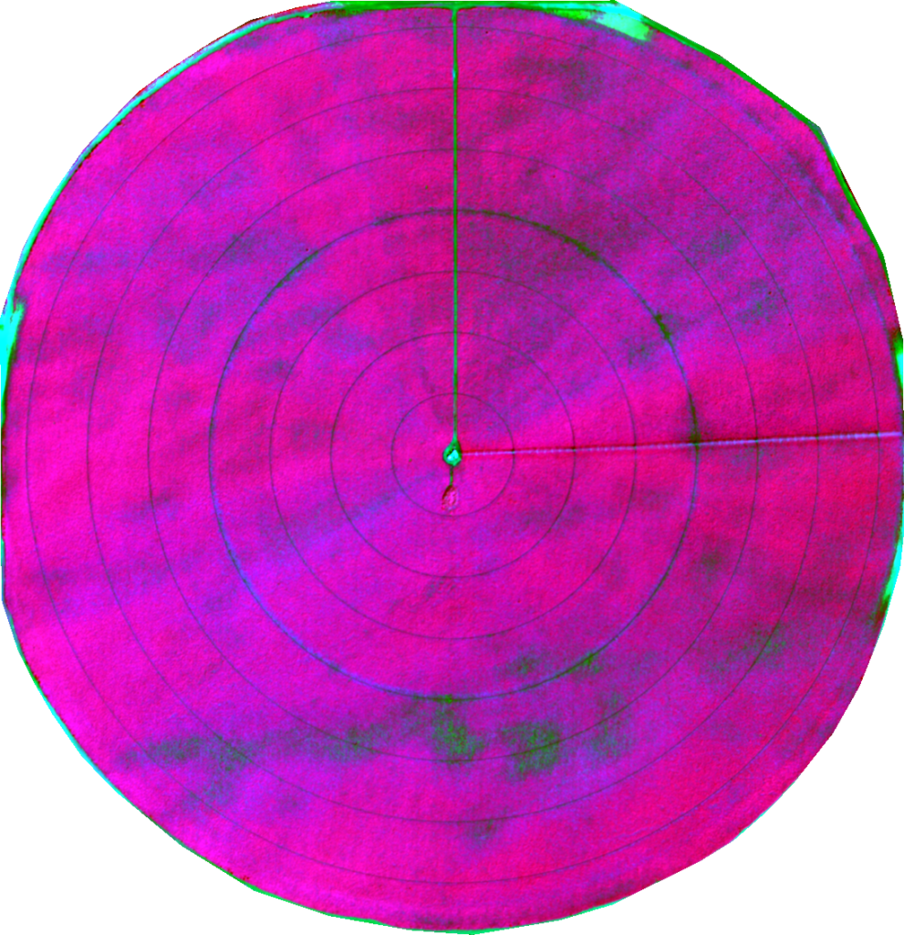 Irrigation issue color Infrared