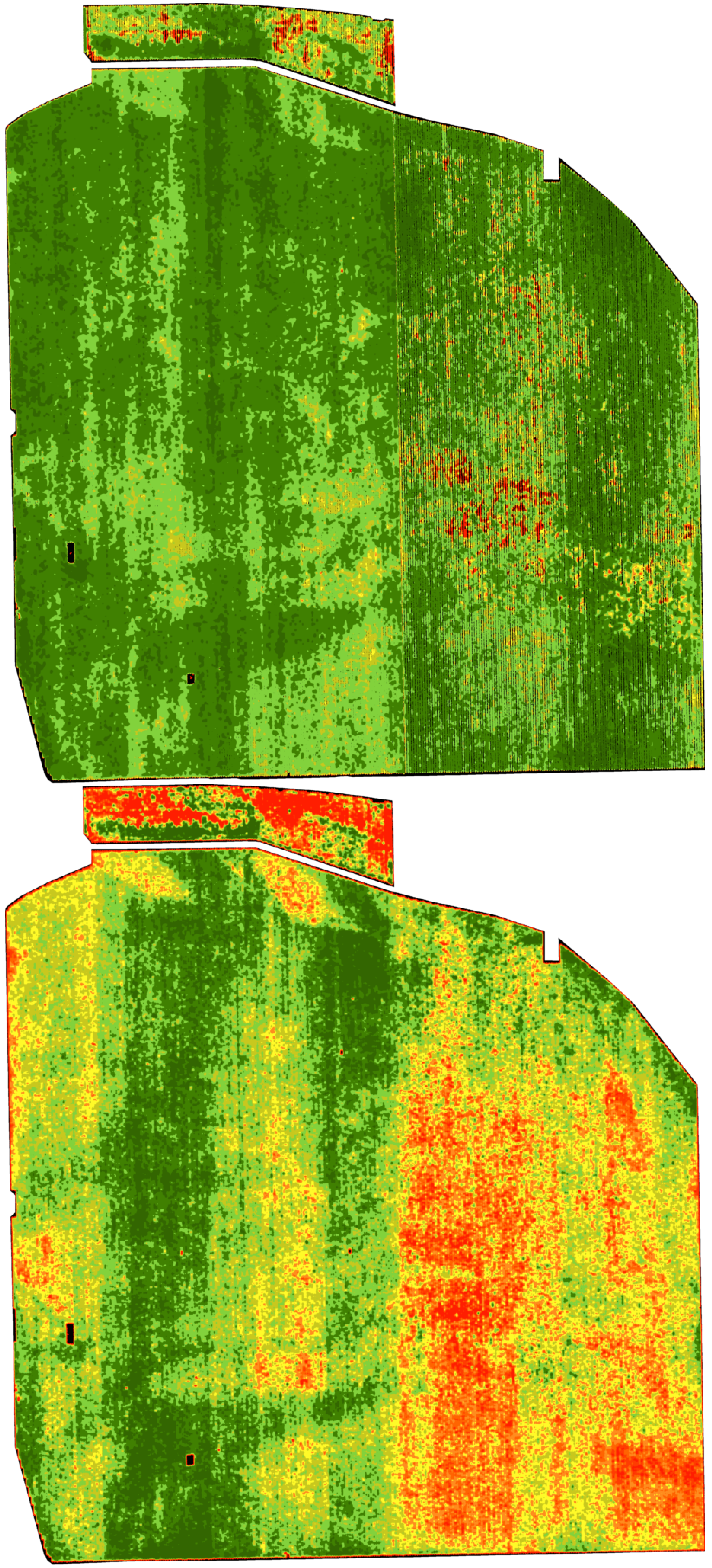 McManis-casestudy-imageryexamples-01