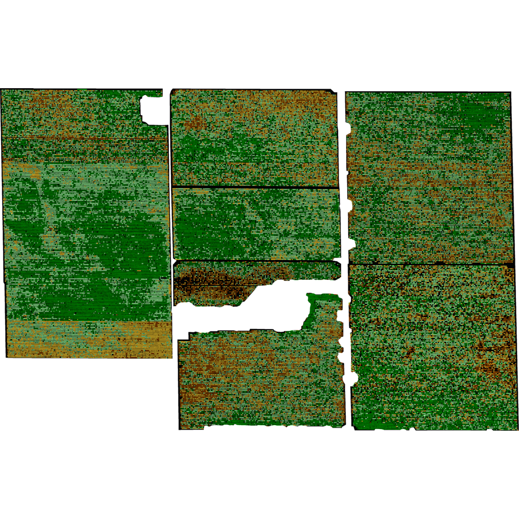 Michael David Winery_Bare Ranch_2018-05-17_Chlorophyll Classification