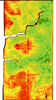 NDVI drip line