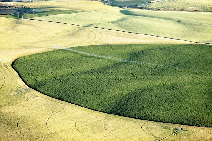 aerial center pivot potato