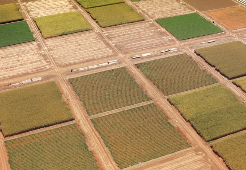 aerial view of farm plots