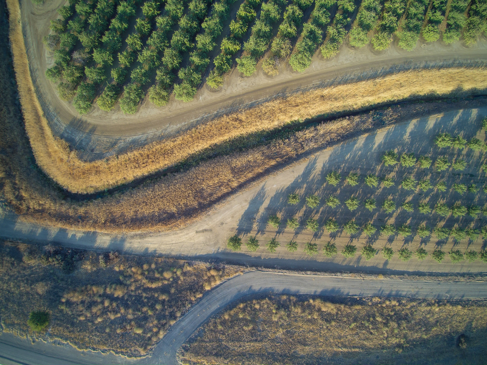 aerial_orchard_portion