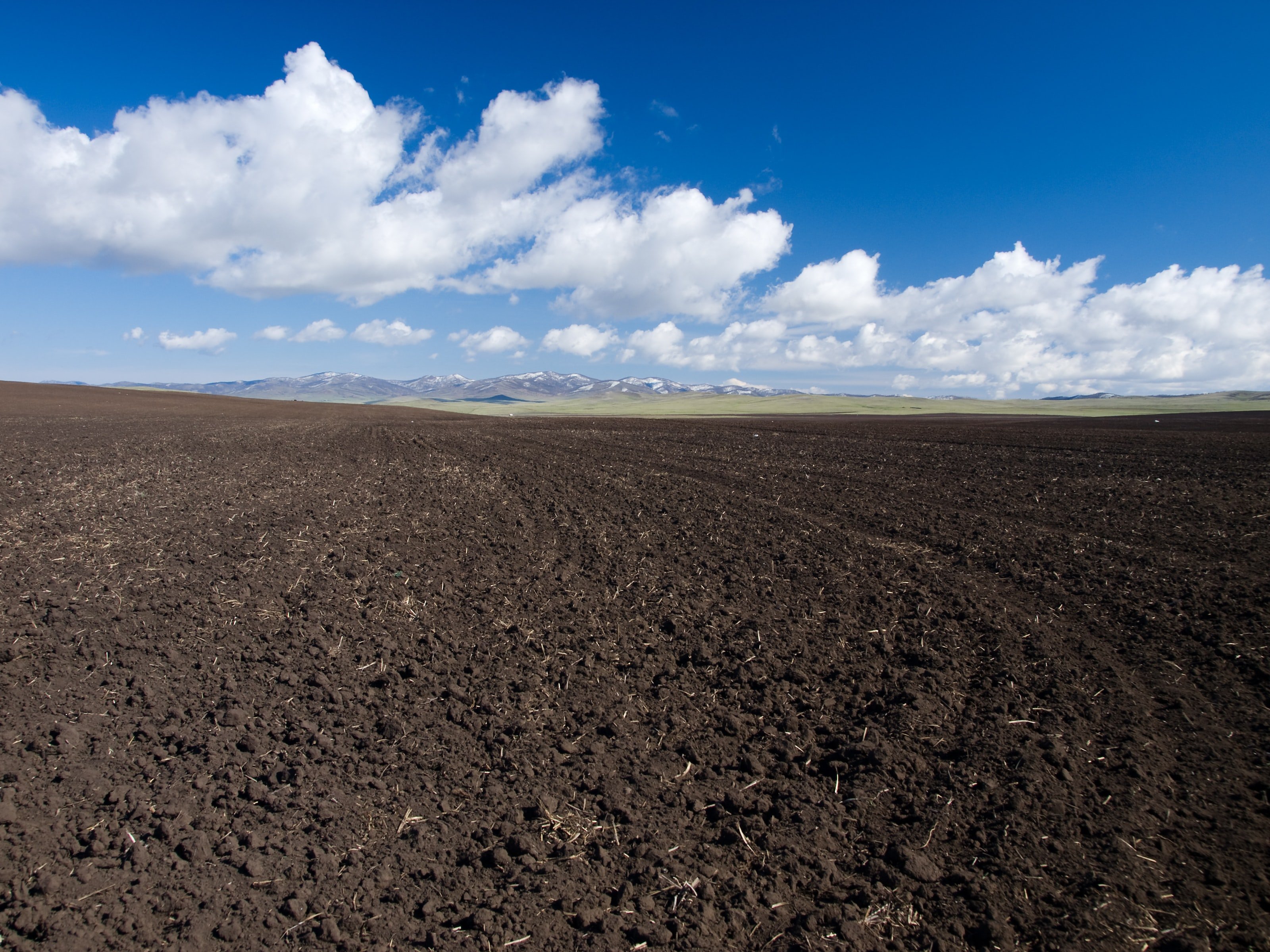 bare_soil_blue_sky