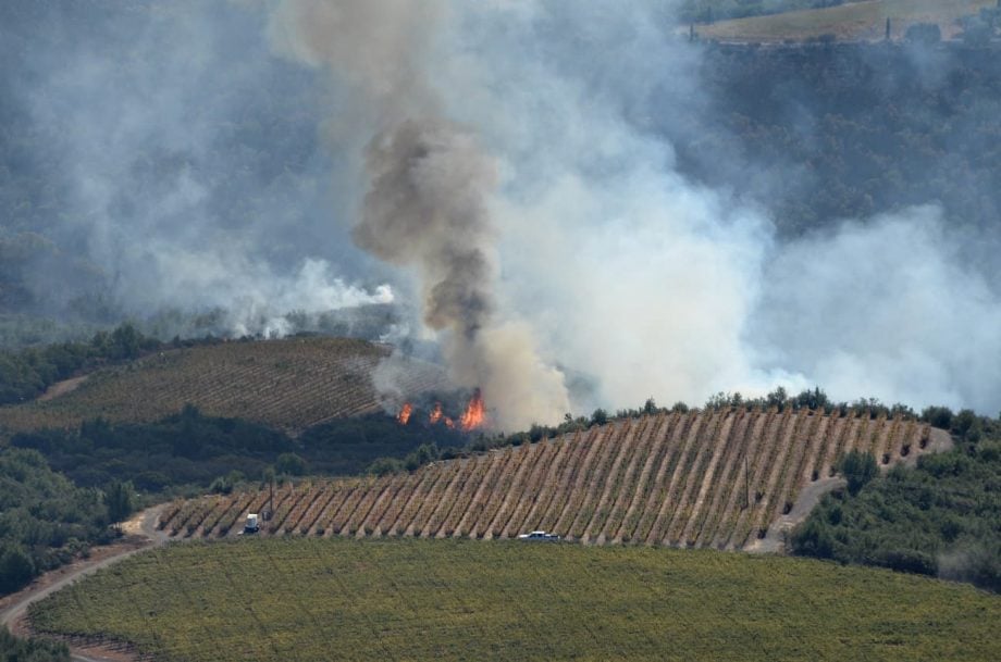 Smoke and flames are visible behind a vineyard