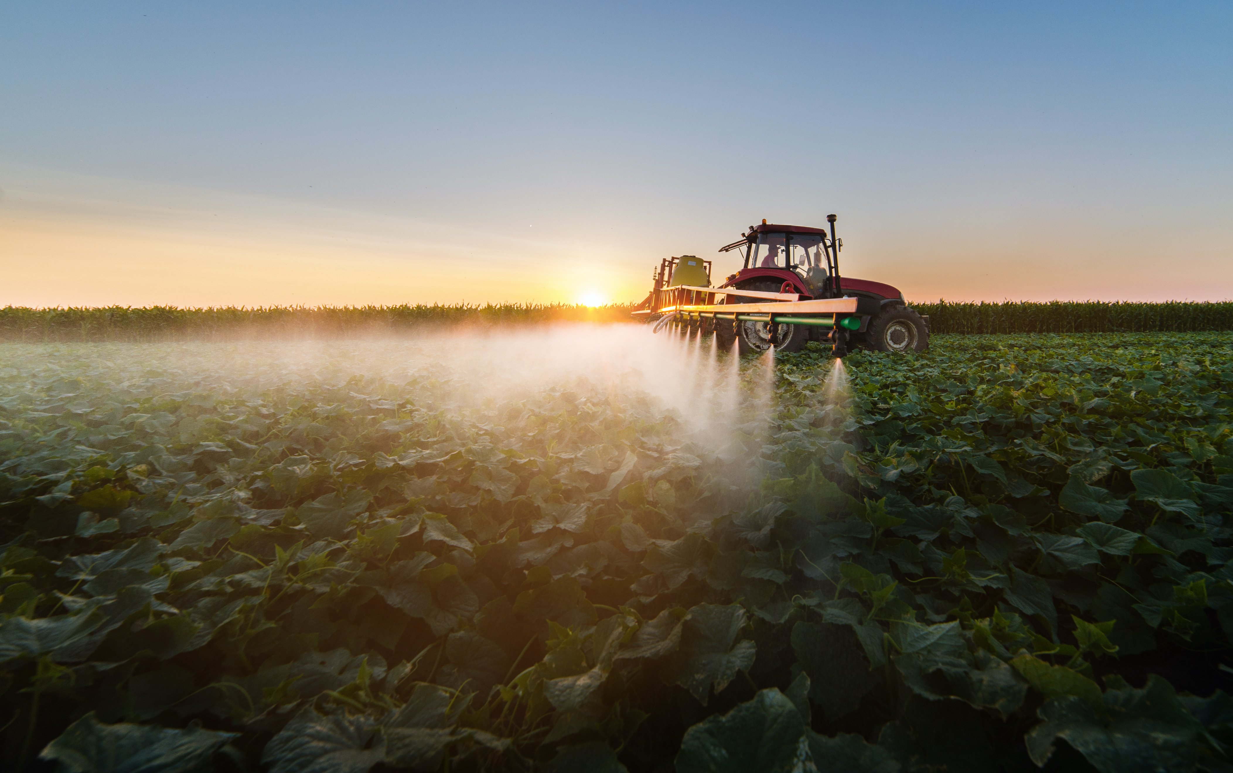 tractor_spray_dawn