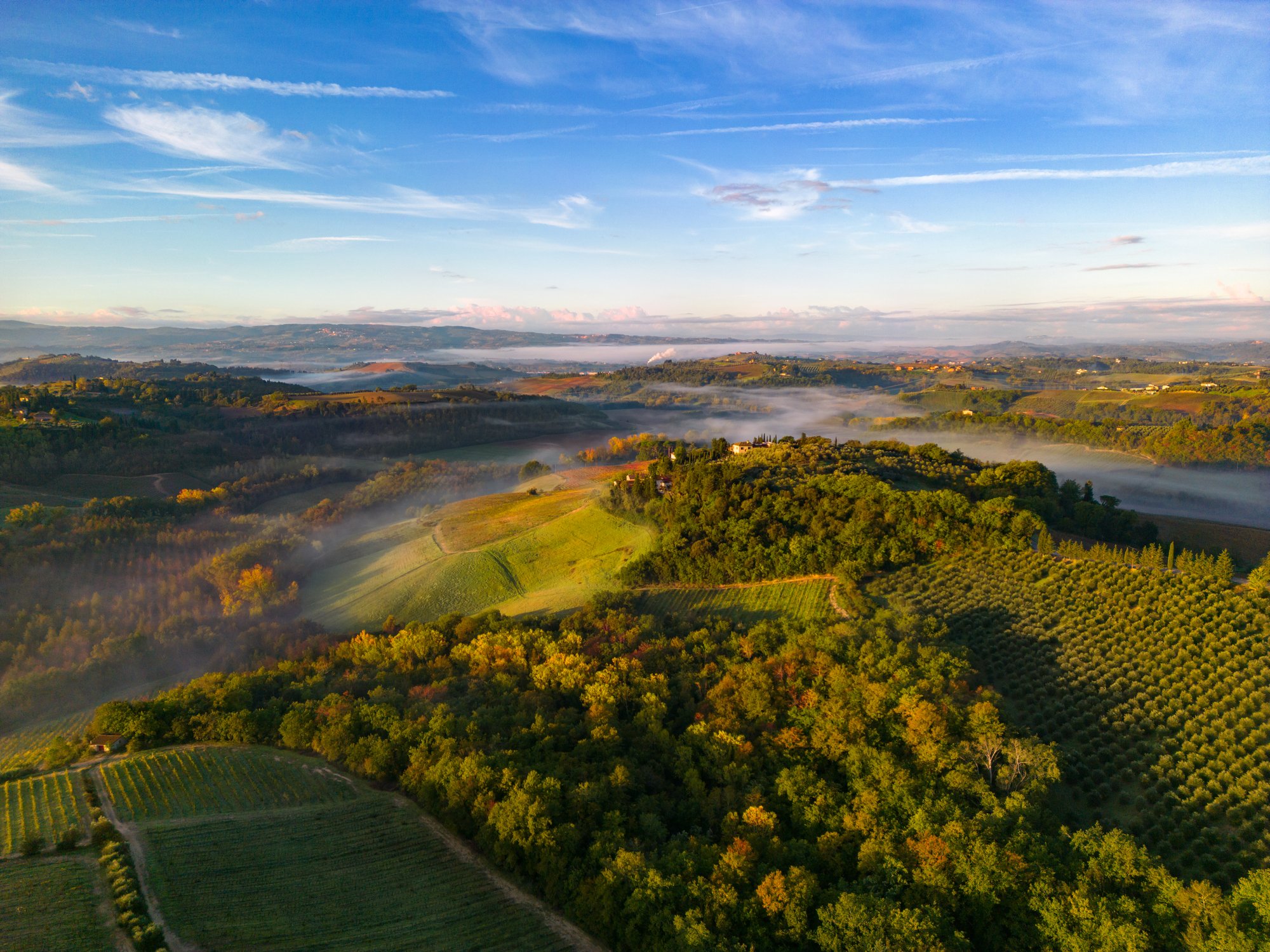 vineyard with mis aerial